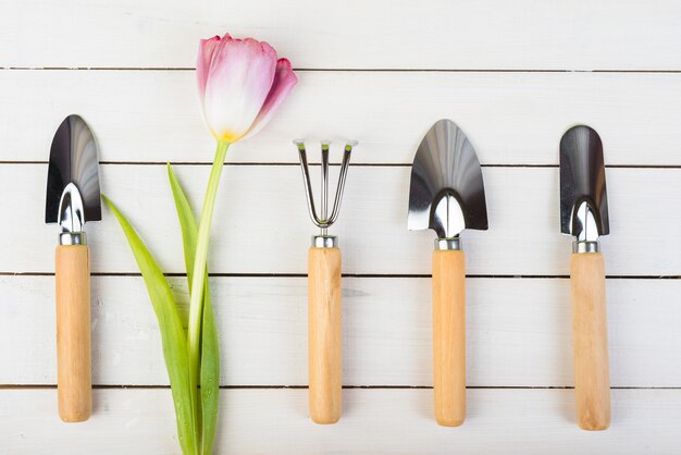 Jak wybrać odpowiednie narzędzia dla Twojego ogrodu? Praktyczne porady i sugestie